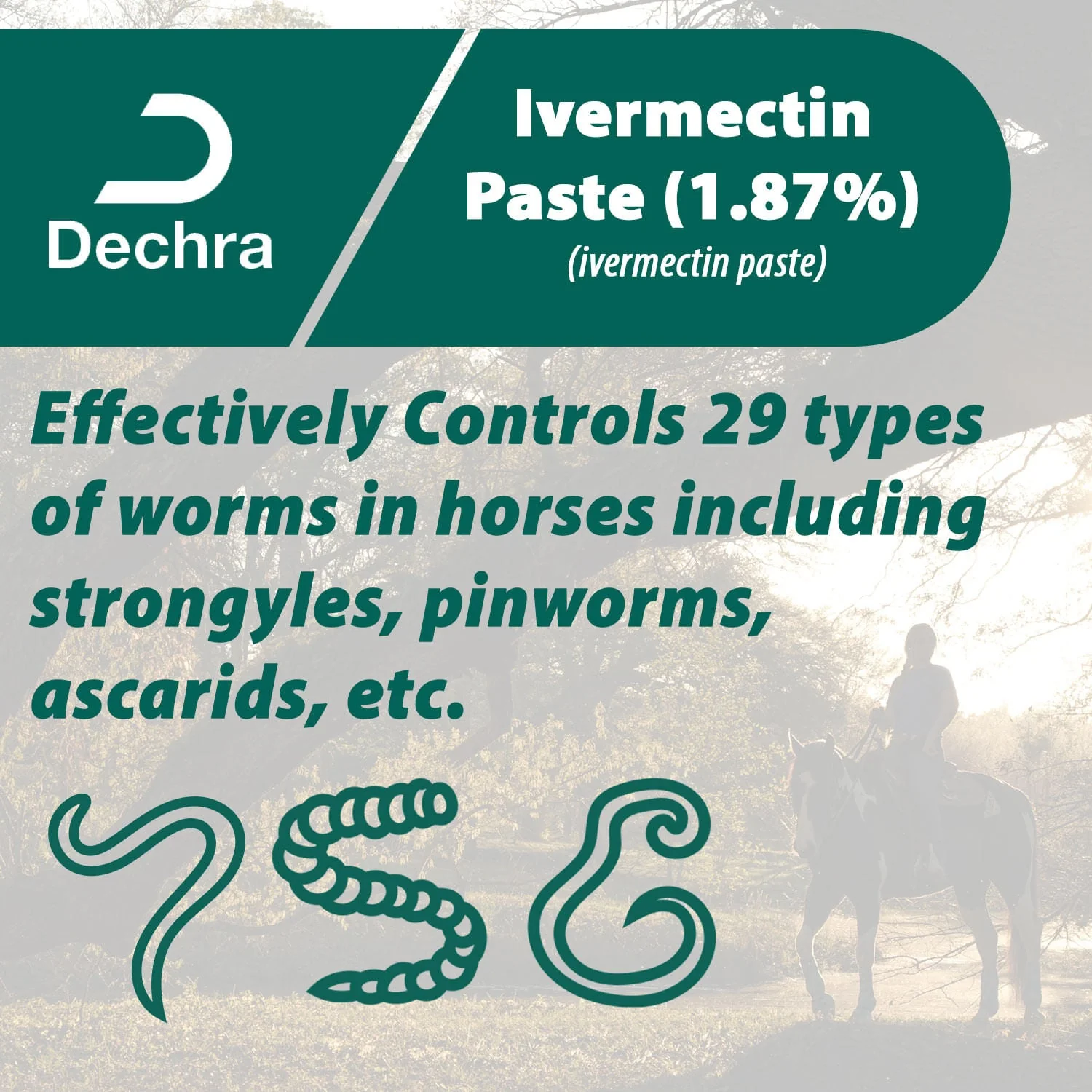 Dechra Ivermectin Paste 1.87% Anthelmintic and Boticide for Horses - Pet's Shop