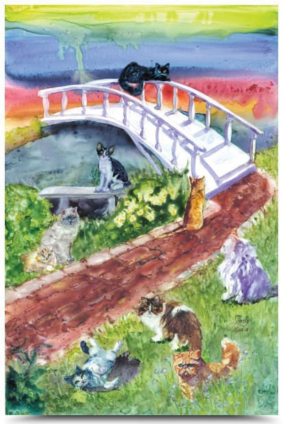 Rainbow Bridge Pet Sympathy Card - Pet's Shop
