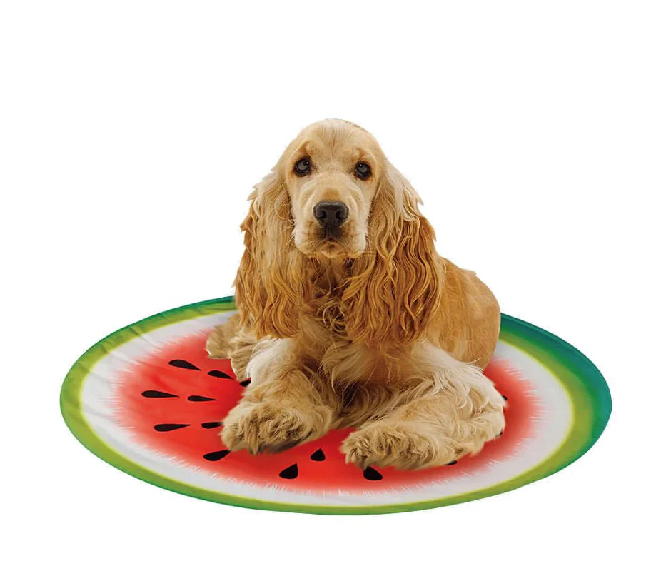 Pet Cooling Pad, Watermelon - Pet's Shop