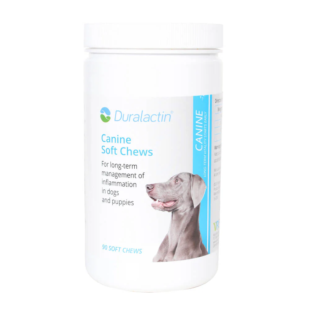 Duralactin Canine Soft Chews, 90 ct - Pet's Shop