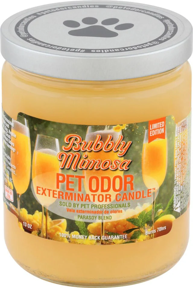 Pet Odor Exterminator Candle, Bubbly Mimosa, 13 oz - Pet's Shop