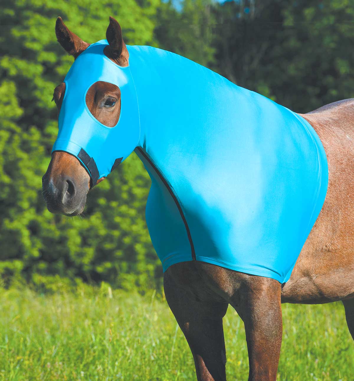 Coolcore Cooling Lycra Hood - Pet's Shop