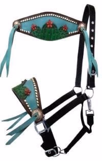 Showman Painted Cactus & 3D Flower Bronc Halter - Pet's Shop