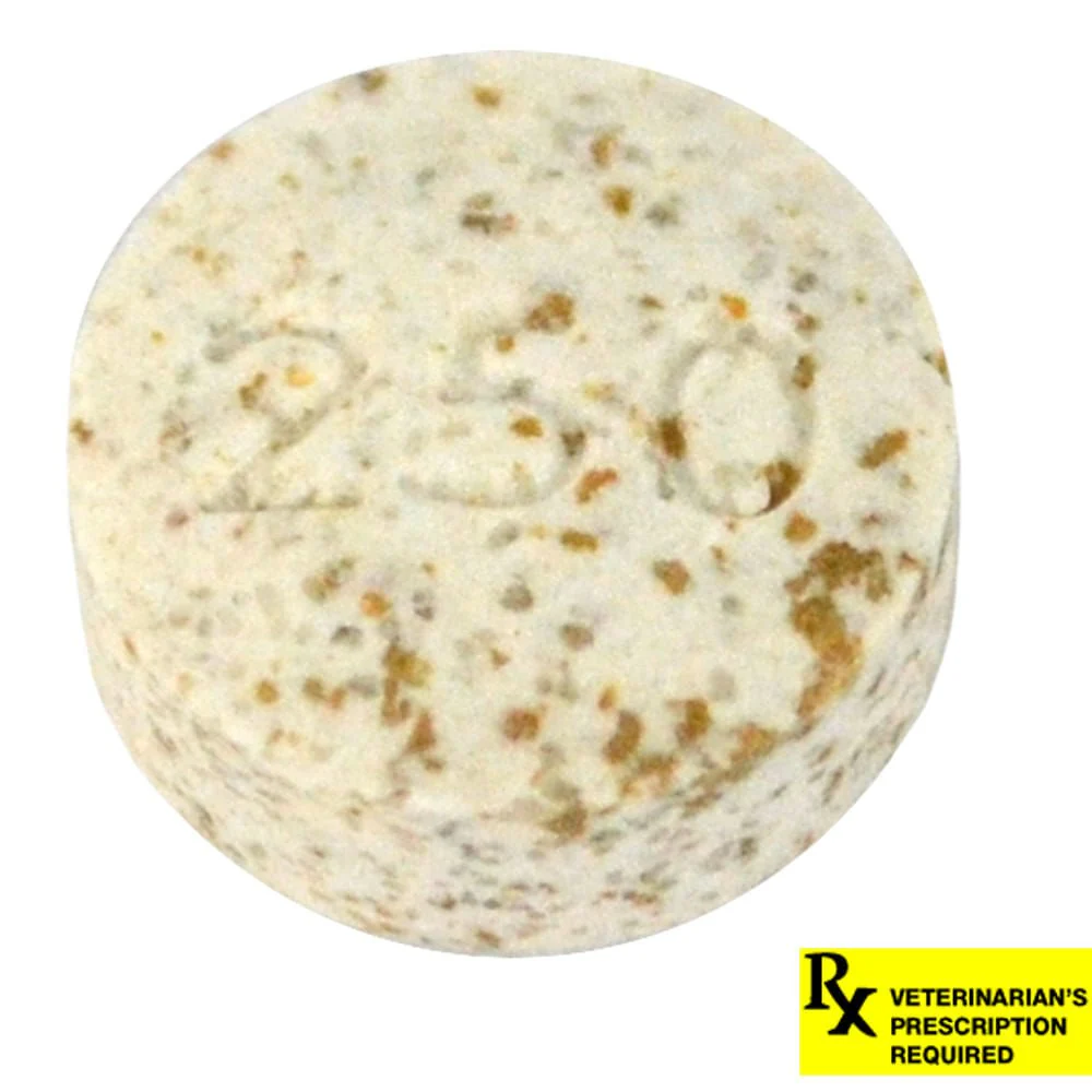 Rx K-BroVet (potassium bromide) Chewable Tablet for Dogs, Single Tab - Pet's Shop