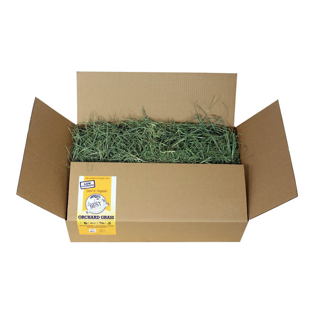 Grandpa's Best Orchard Grass Loose Boxed Hay - Pet's Shop
