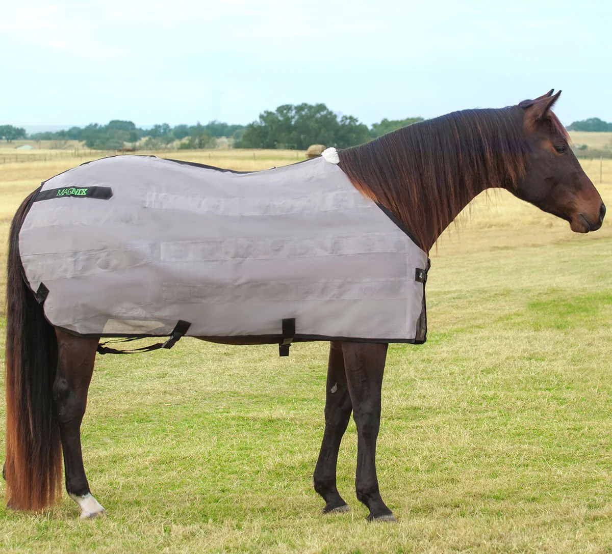 Classic Equine MagNTX Magnetic Horse Therapy Sheet - Pet's Shop