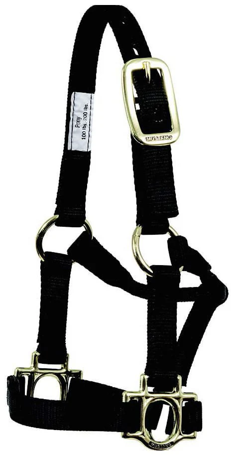 Traditional Nylon Pony Halter - Pet's Shop