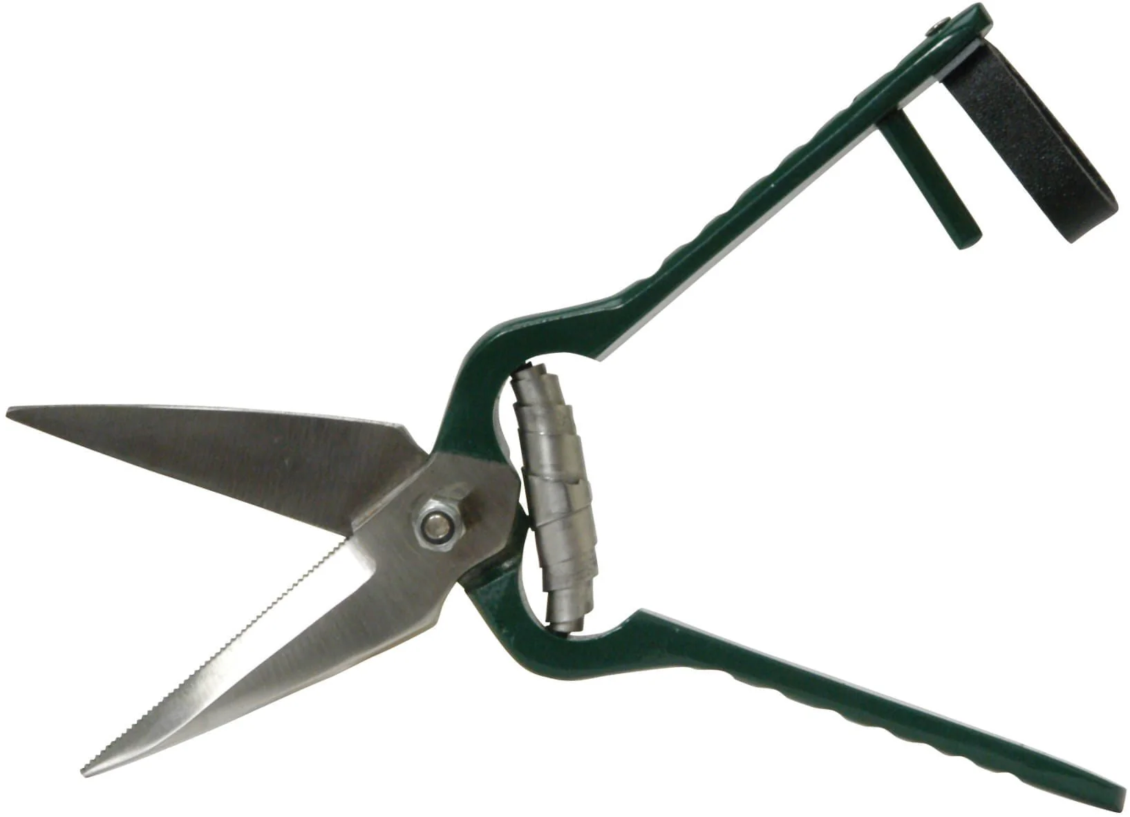 Serrated Foot Rot Hoof Trimming Shears - Pet's Shop