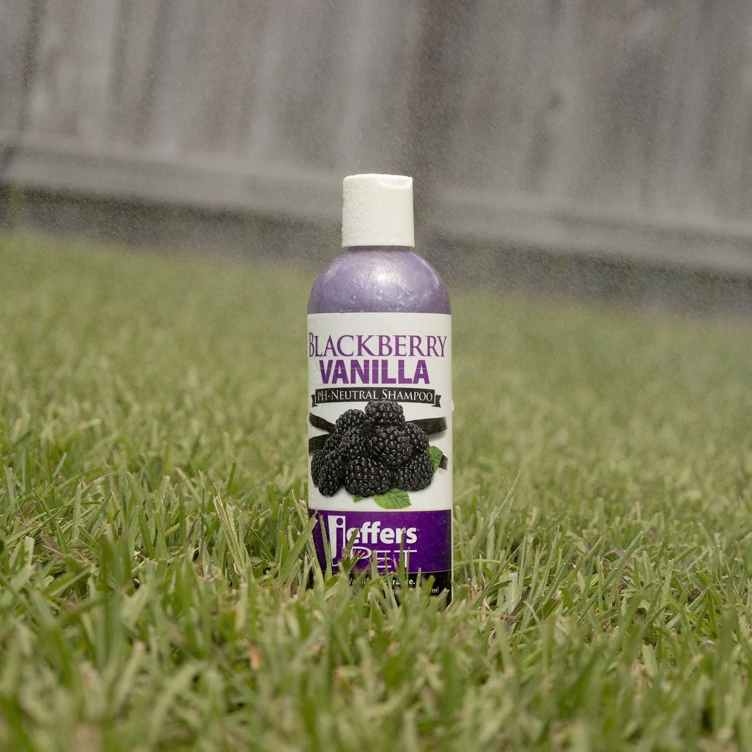 Blackberry Vanilla pH-Neutral Pet Shampoo - Pet's Shop