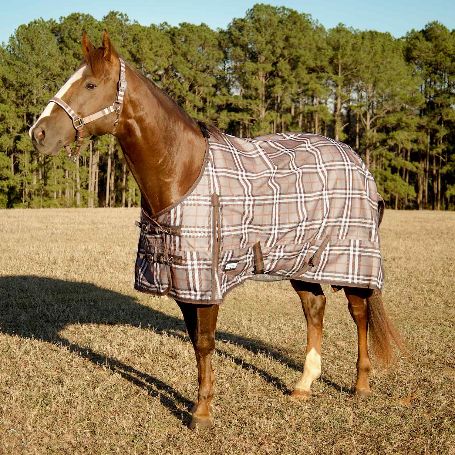 Poplar Head Refuge 1200 Denier Turnout Blanket, 240 Gram, Plymouth Brown Plaid - Pet's Shop