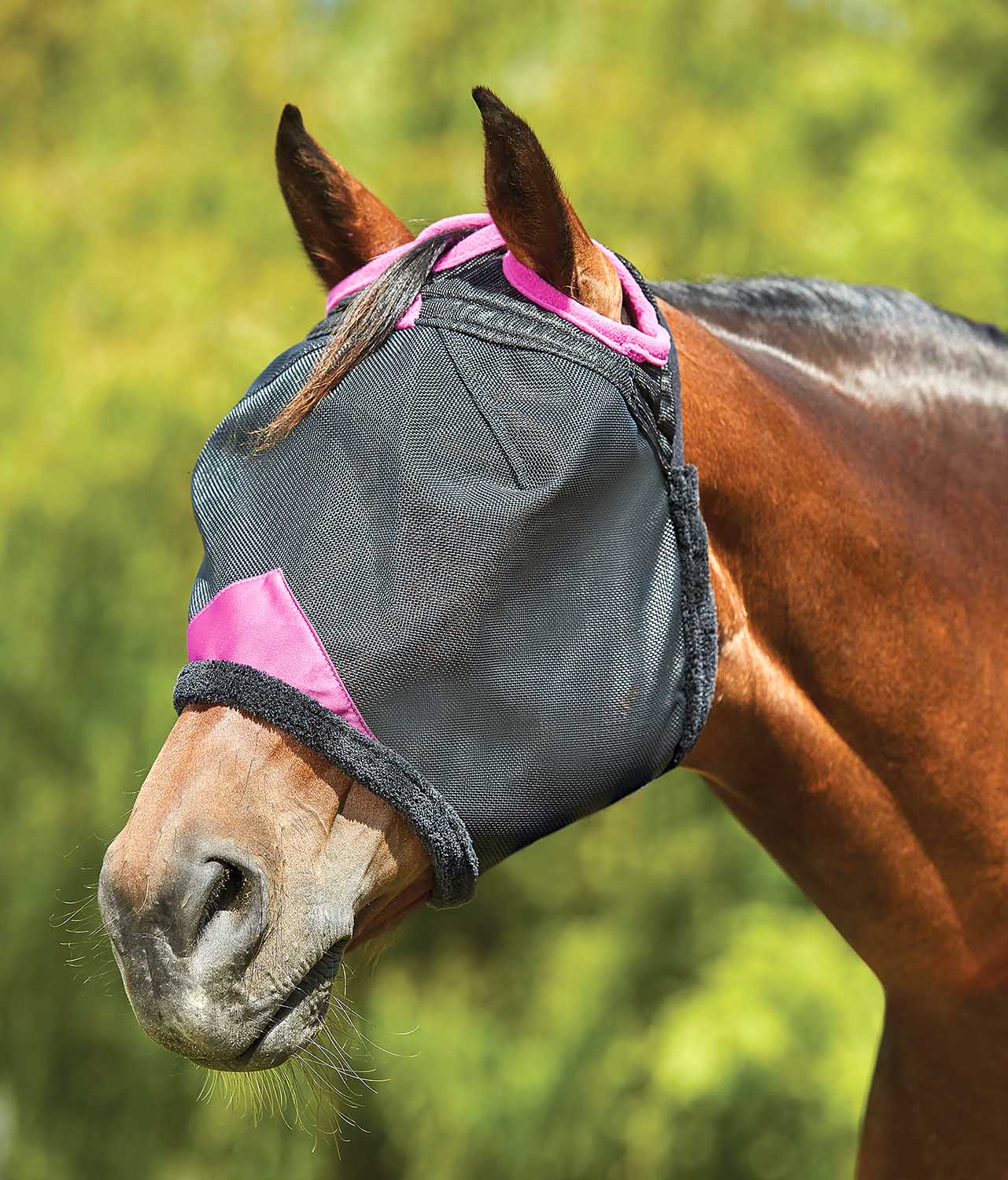 Weatherbeeta ComFITec Deluxe Durable Mesh Horse Fly Mask - Pet's Shop