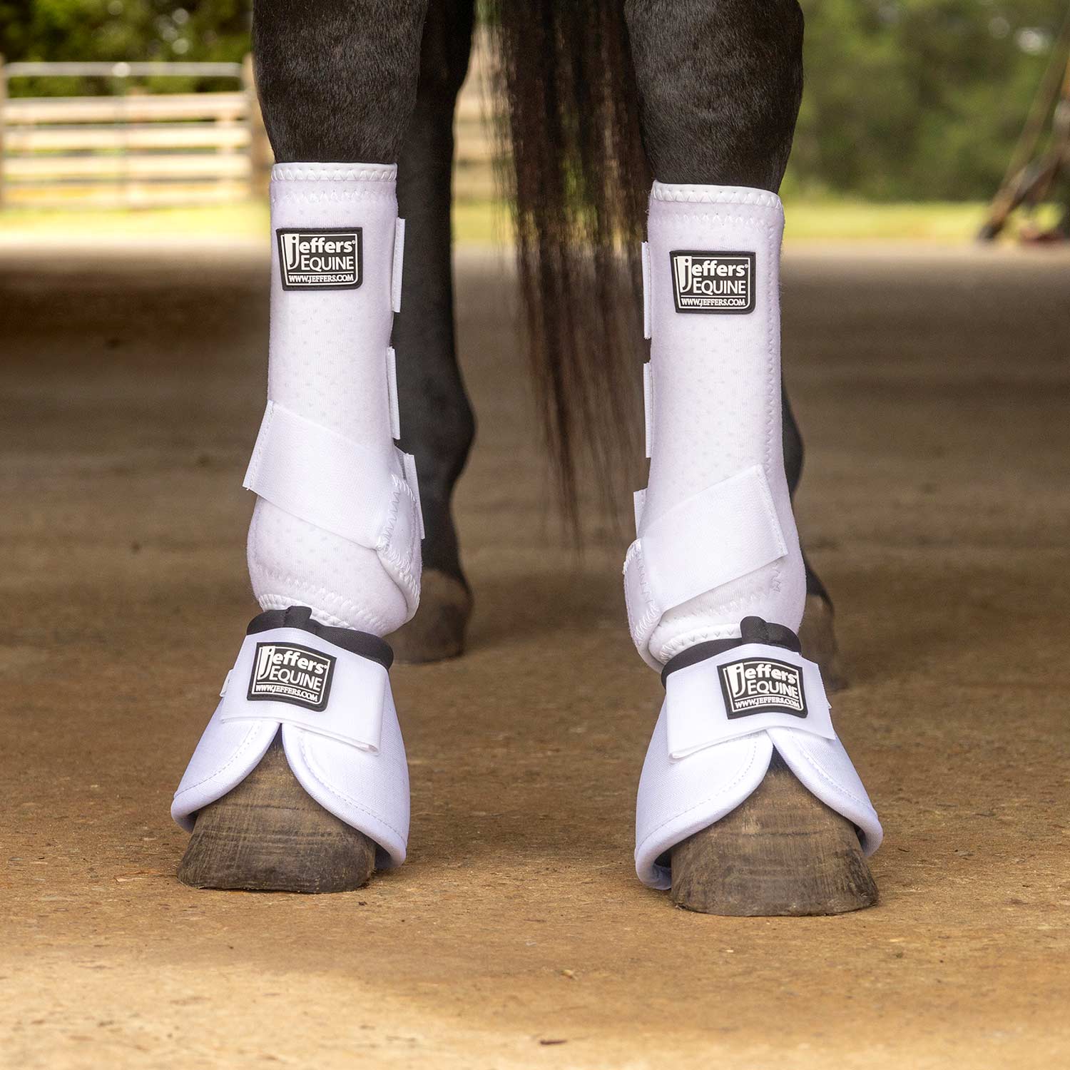 Protective Horse Boots - Pet's Shop