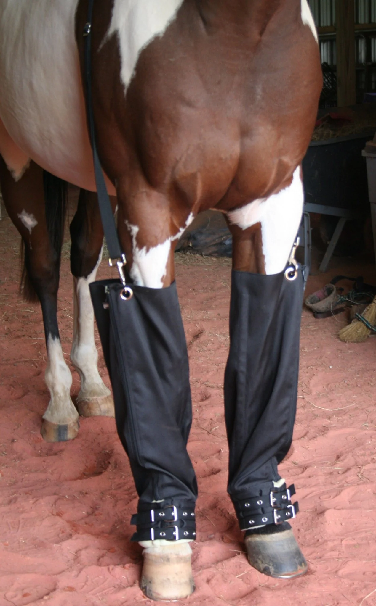 Roma Full Ice Boots for Horses, pair - Pet's Shop