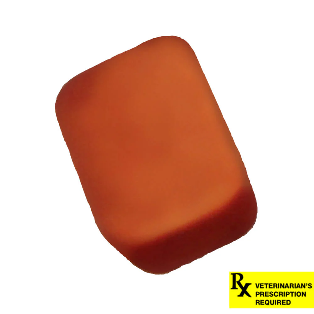 NexGard Flea and Tick Chewables for Dogs - Pet's Shop