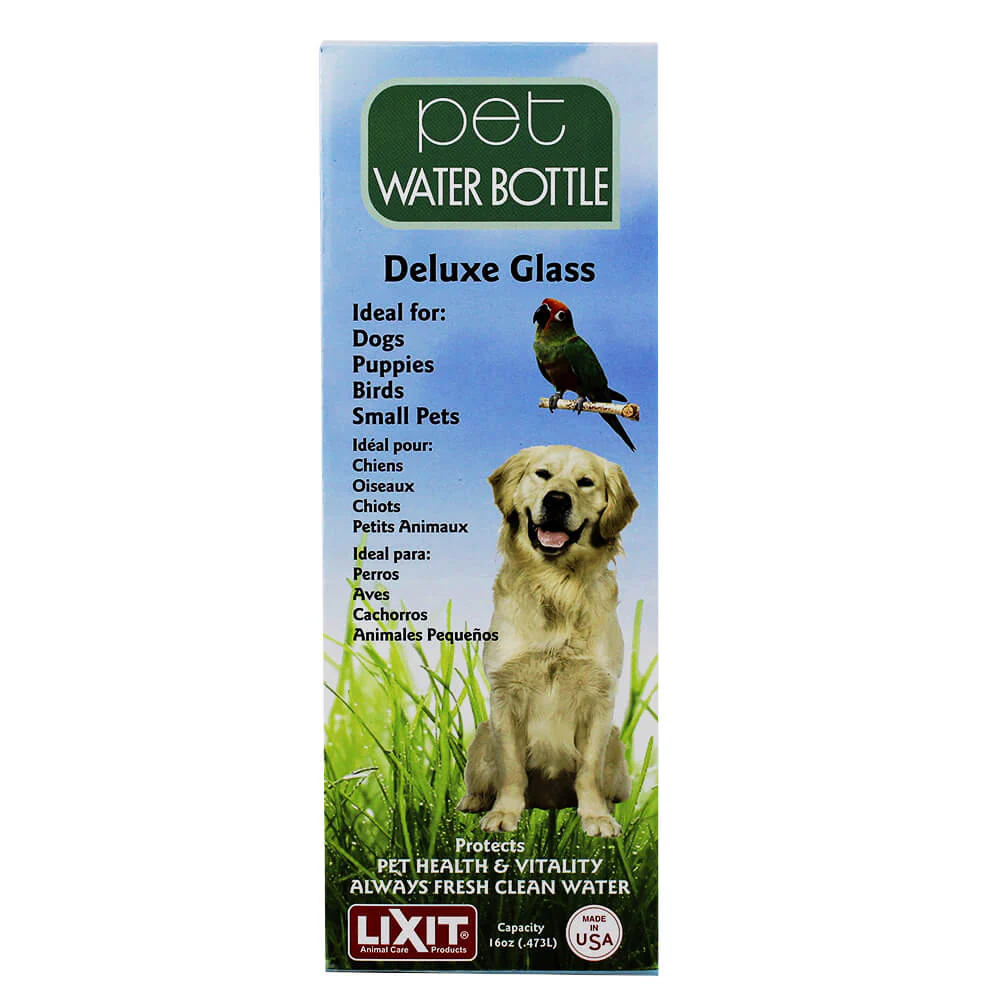 Lixit Glass Water Bottle, 16 oz with Tube - Pet's Shop