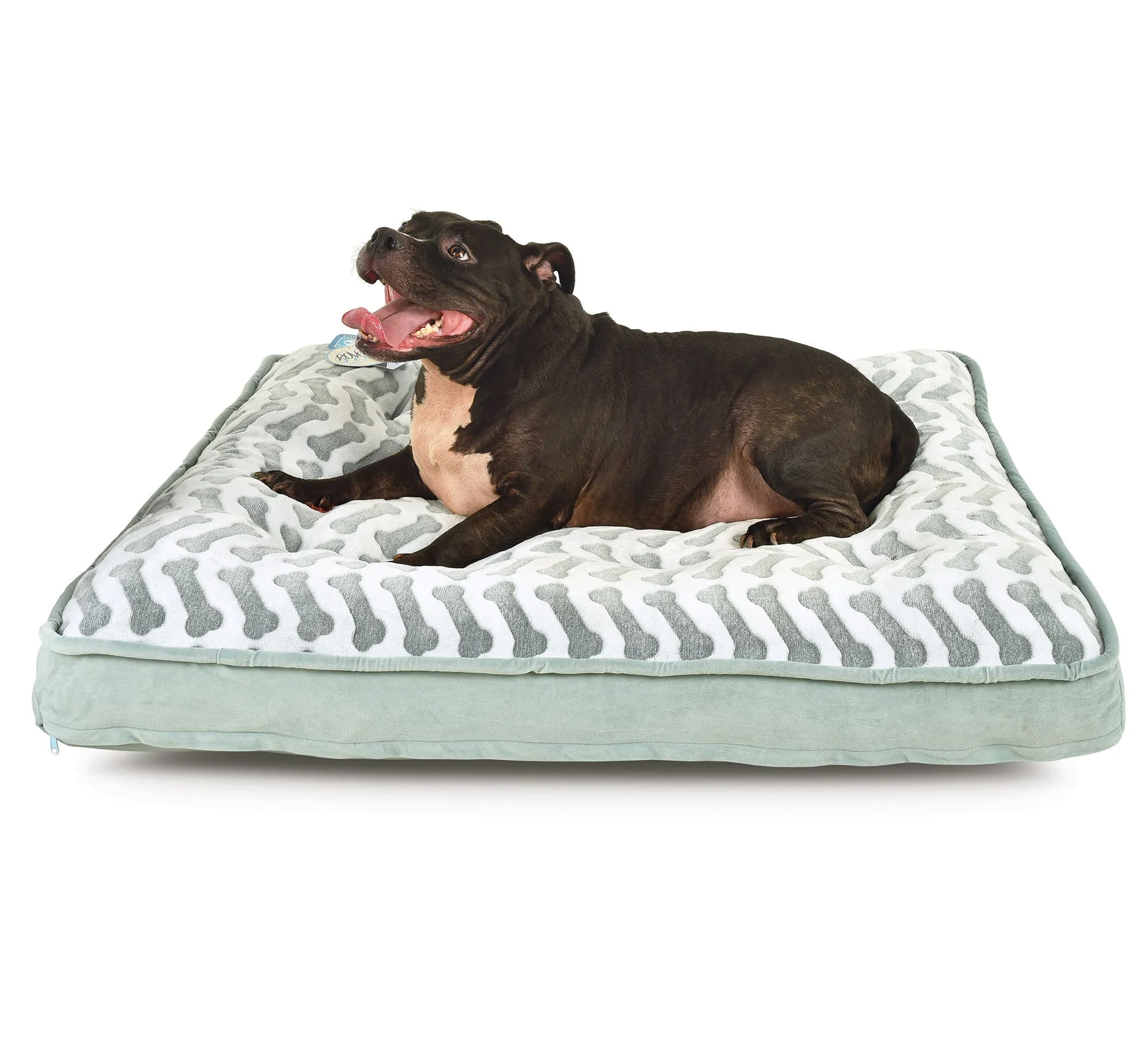 Queen-Size Waterproof Bella Orthopedic Mattress Bed - Pet's Shop