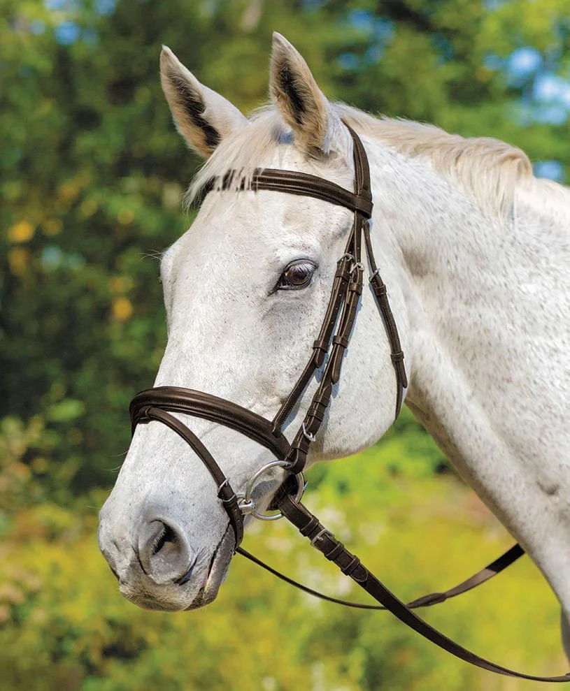 Shires Avignon Louisville Bridle - Pet's Shop