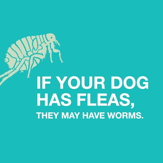 Quad Dewormer Chewable Tablets for Dogs - Pet's Shop