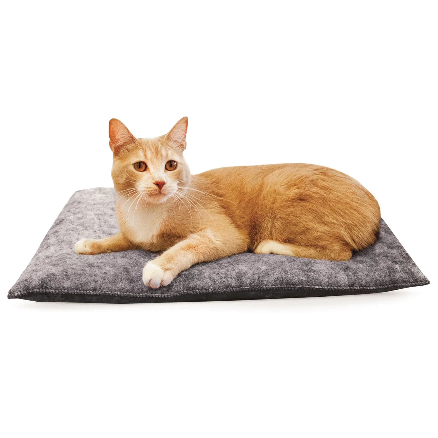 Amazin' Kitty Pad, 3 pk - Pet's Shop