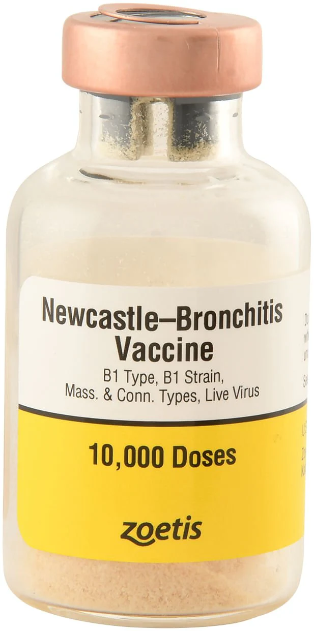Newcastle-Bronchitis for Chickens - Pet's Shop