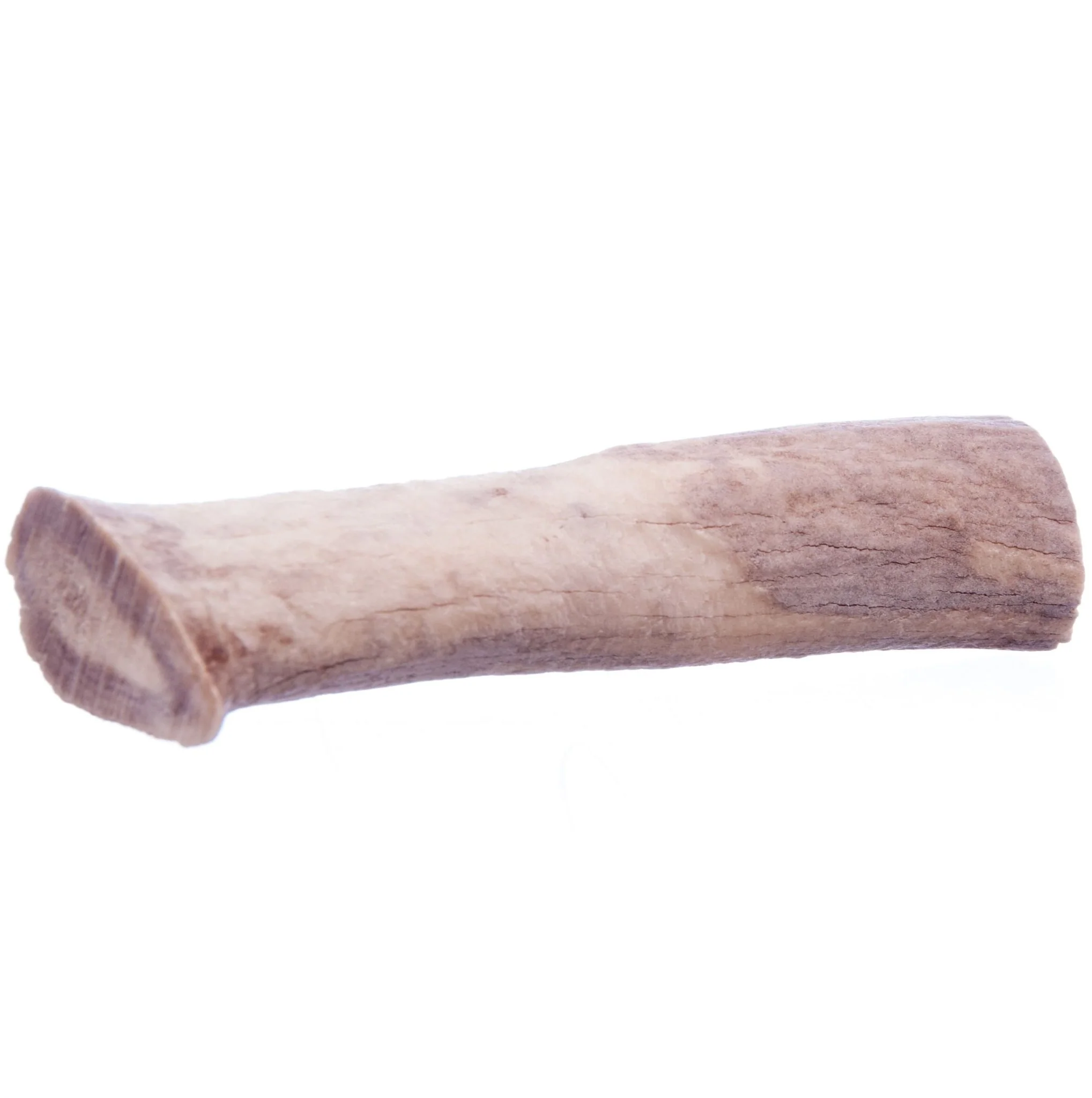 Antlerz - Pet's Shop