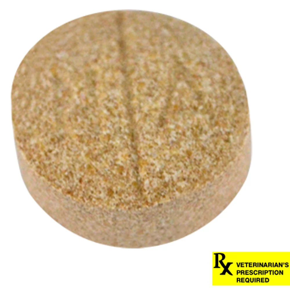 Rx Deramaxx (deracoxib) Chewable Tablets for Dogs - Pet's Shop