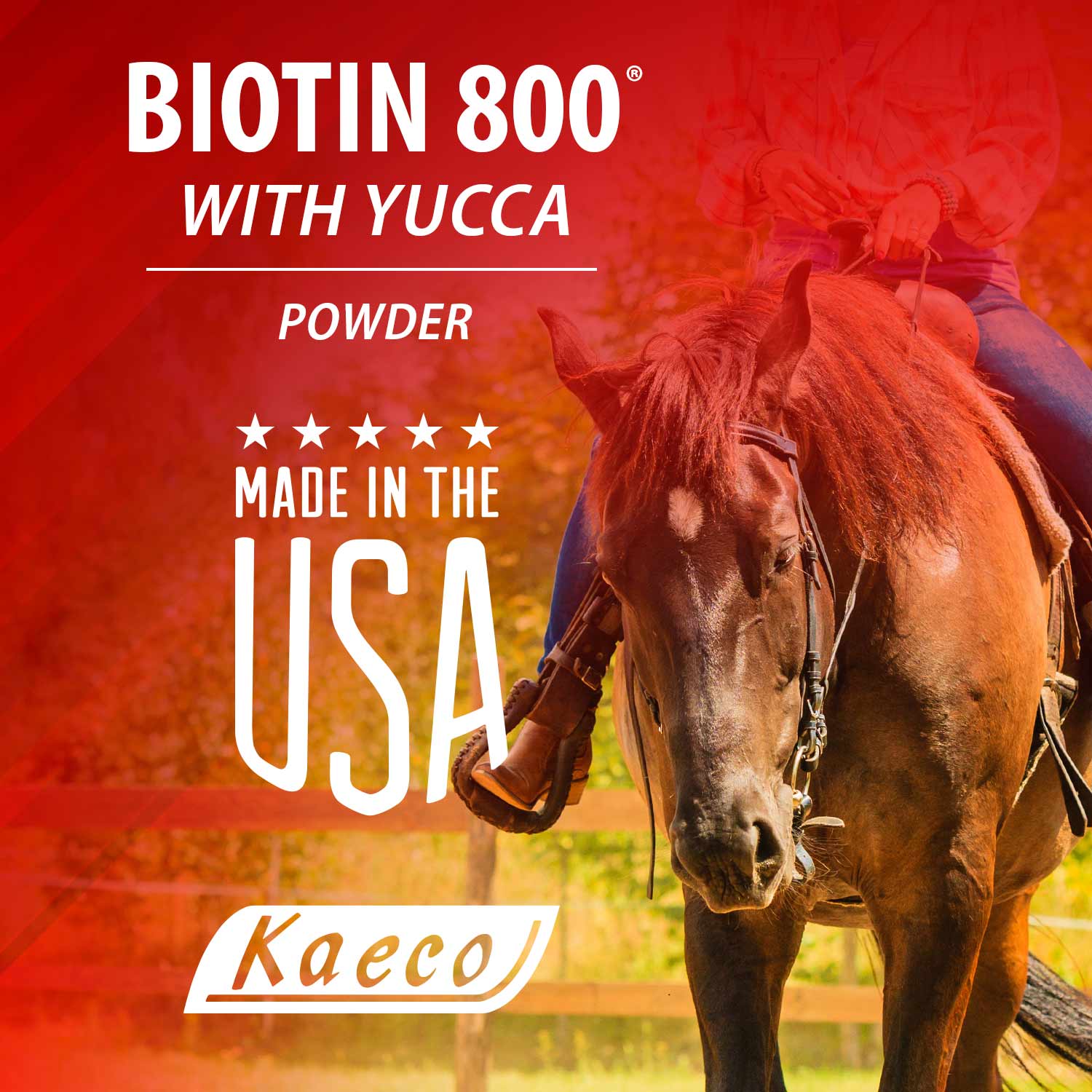 Biotin 800 Powder with Yucca - Pet's Shop