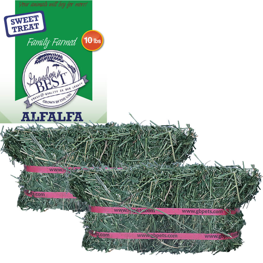 Grandpa's Best Alfalfa Hay Bale - Pet's Shop