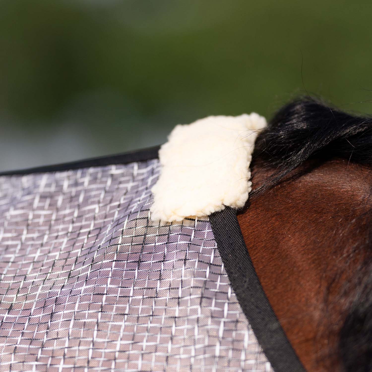 Professional's Choice Horse Fly Sheet - Pet's Shop