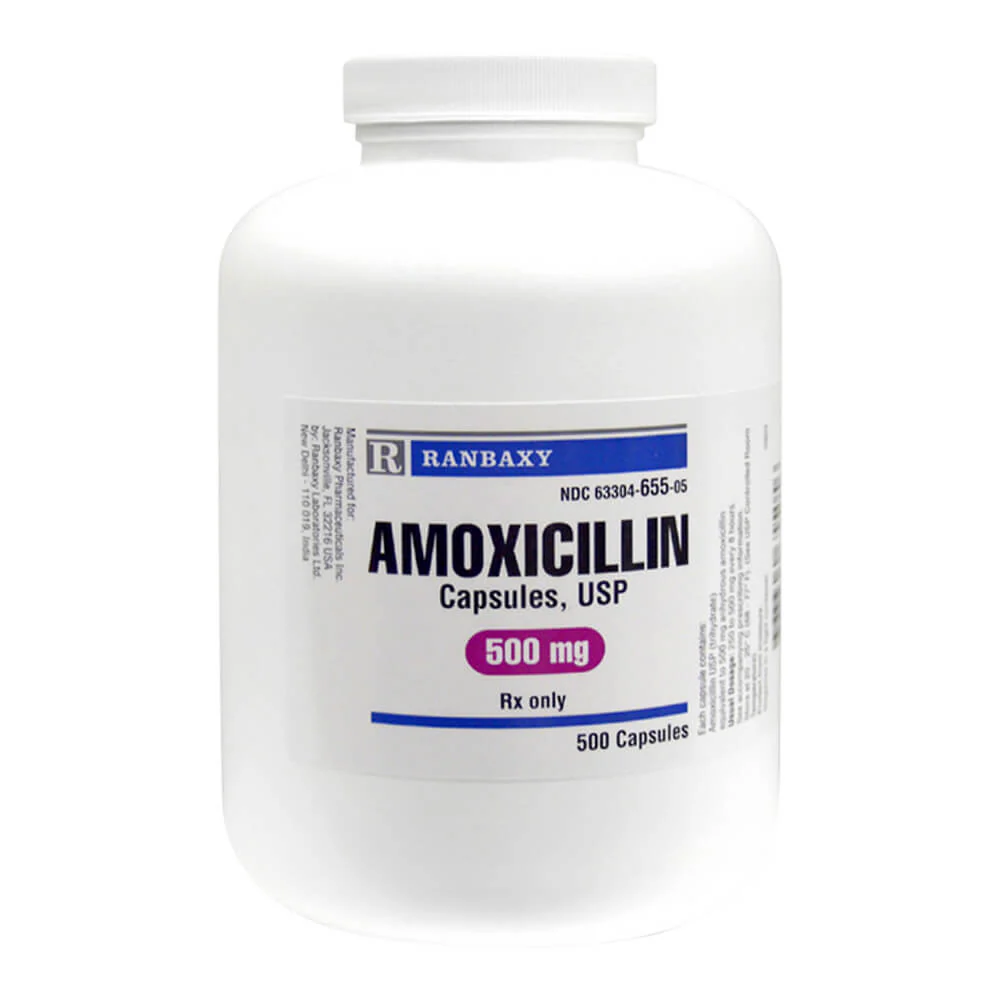 Rx Amoxicillin (Generic) Capsules for Dogs & Cats - Pet's Shop