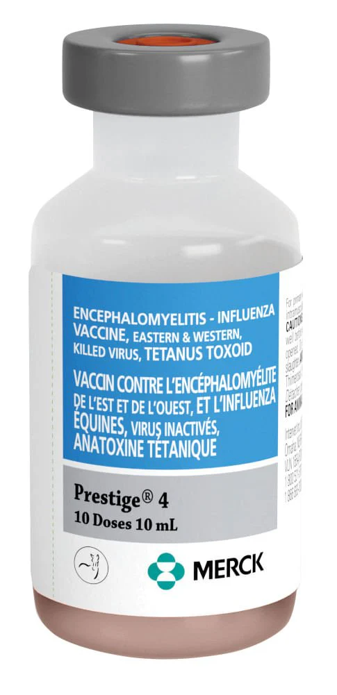 Prestige 4 - Pet's Shop