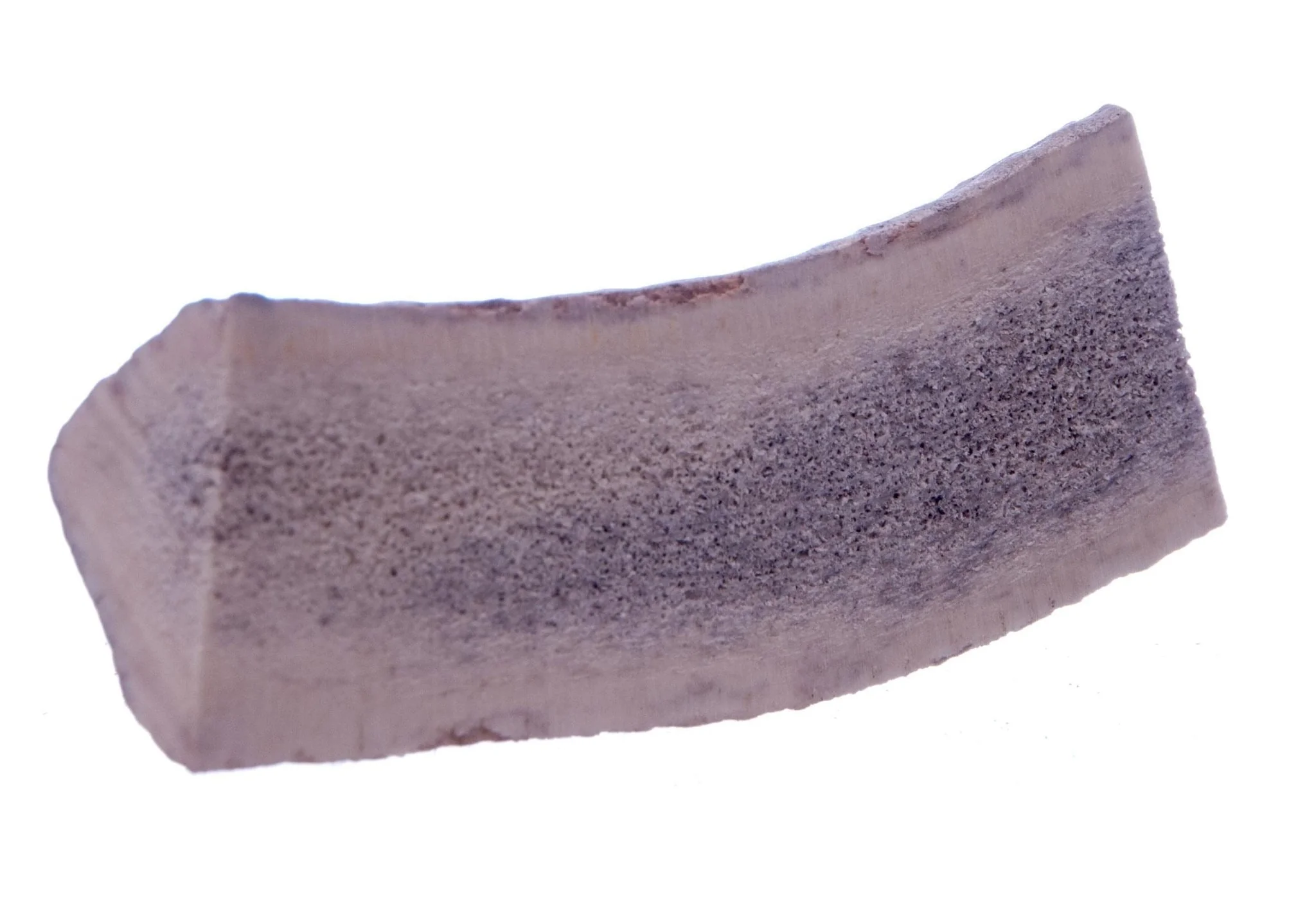 Split Antlerz (The Trew) - Pet's Shop