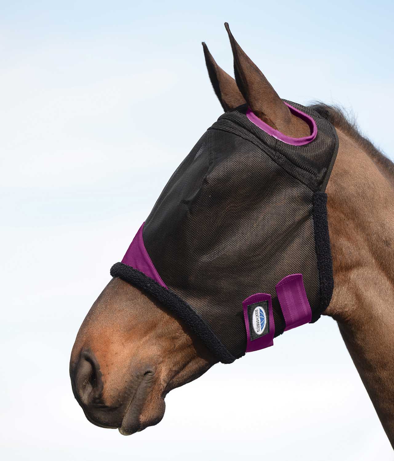 Weatherbeeta ComFITec Durable Mesh Horse Fly Mask, Black/Purple - Pet's Shop