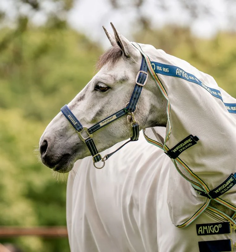 Horseware FieldSafe Halter - Pet's Shop
