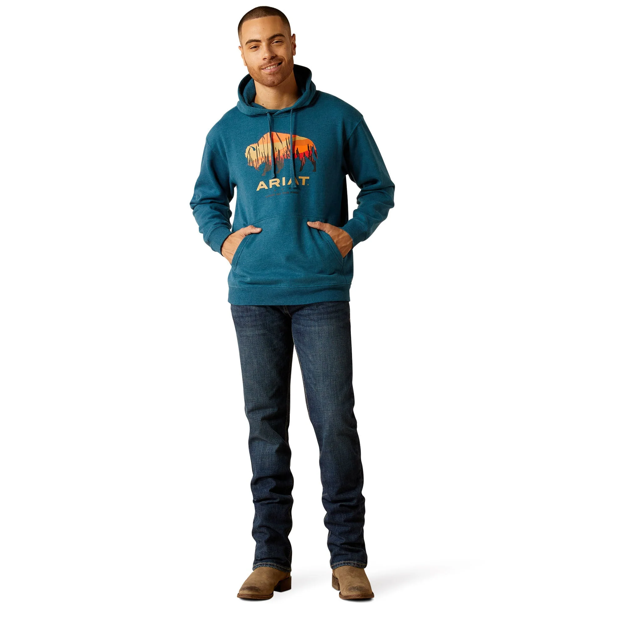 Ariat Men's Bison Plains Hoodie - Pet's Shop