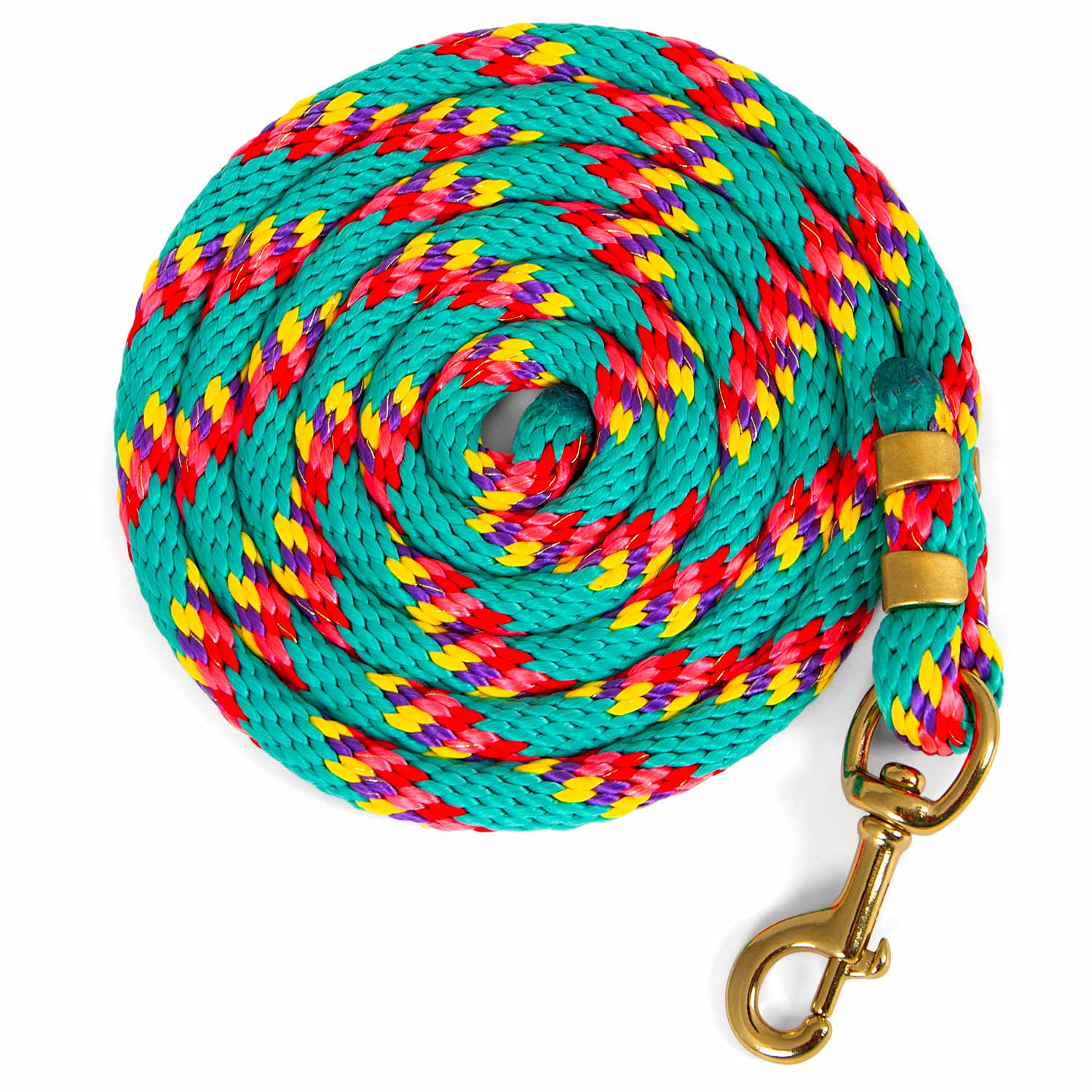 Neon Poly Lead Rope with Bolt Snap, 8' - Pet's Shop