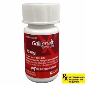 Rx Galliprant (Grapiprant) Tablets for Dogs - Pet's Shop
