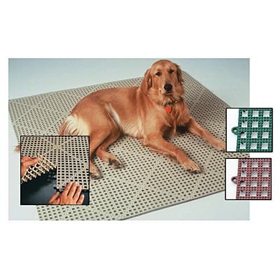 Dri-Dek Roll, 3' x 12' - Pet's Shop
