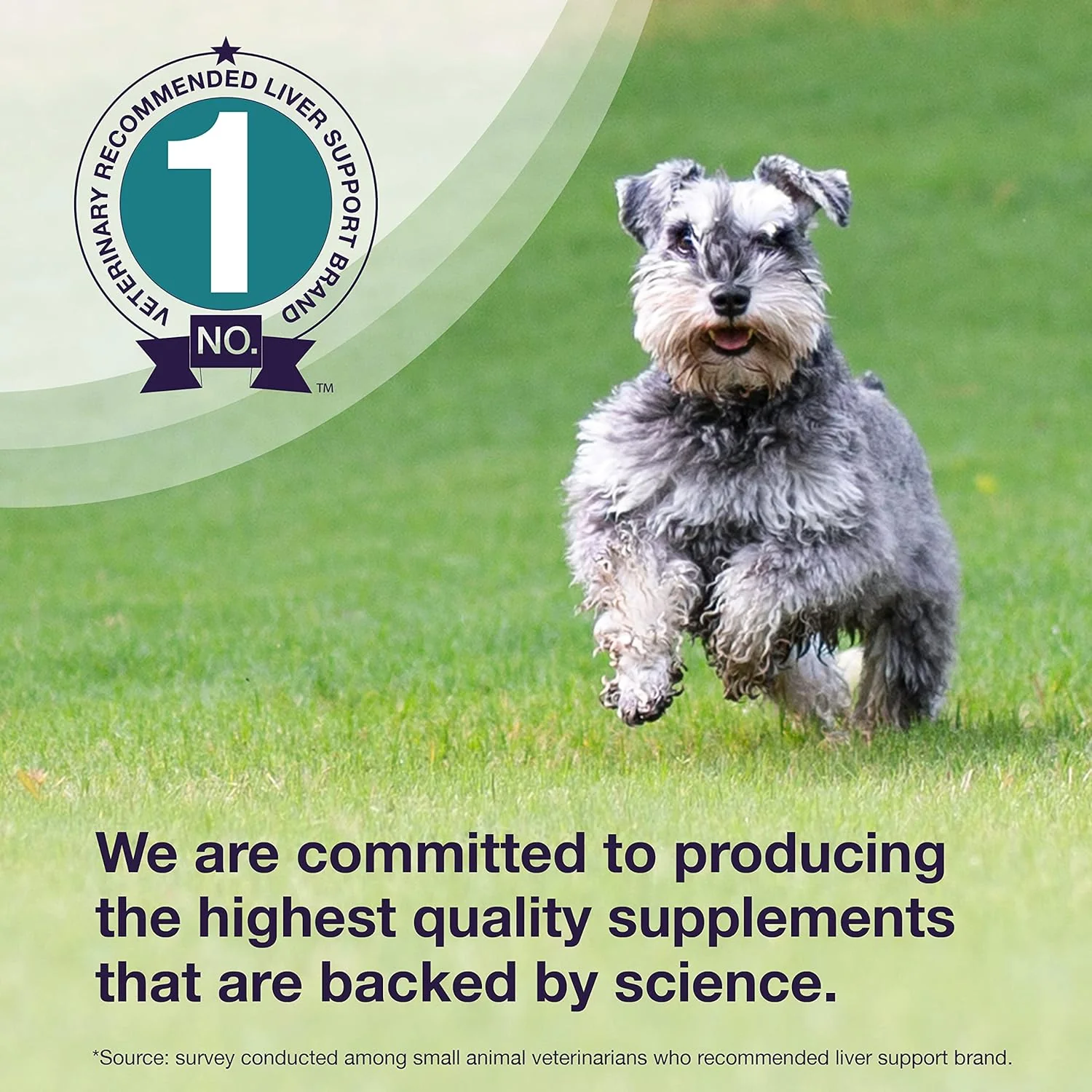 Nutramax Denamarin Liver Health, Stabilized Tablets - Pet's Shop