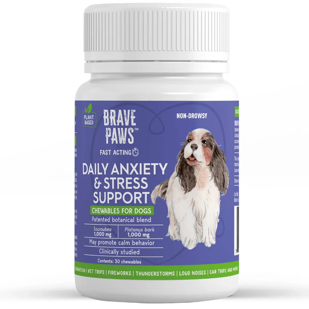 Brave Paws Anxiety & Stress Support Chewables, Beef, 30 ct - Pet's Shop