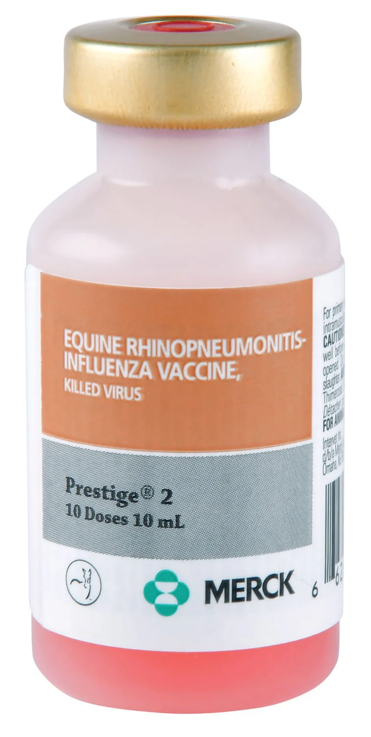 Prestige 2 - Pet's Shop