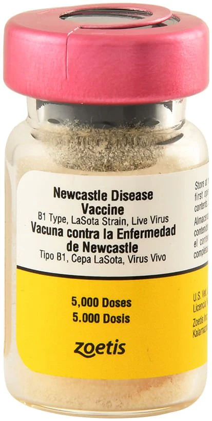 Newcastle Disease Vaccine - 5,000 Dose - Pet's Shop