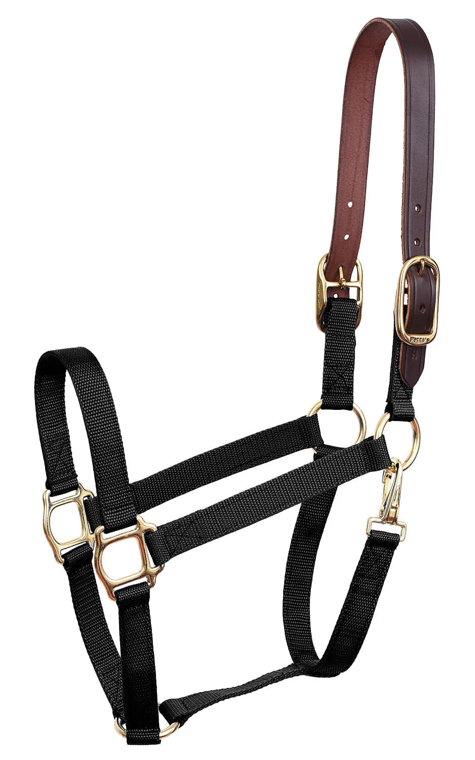 Economy Nylon Safety Horse Halter - Pet's Shop