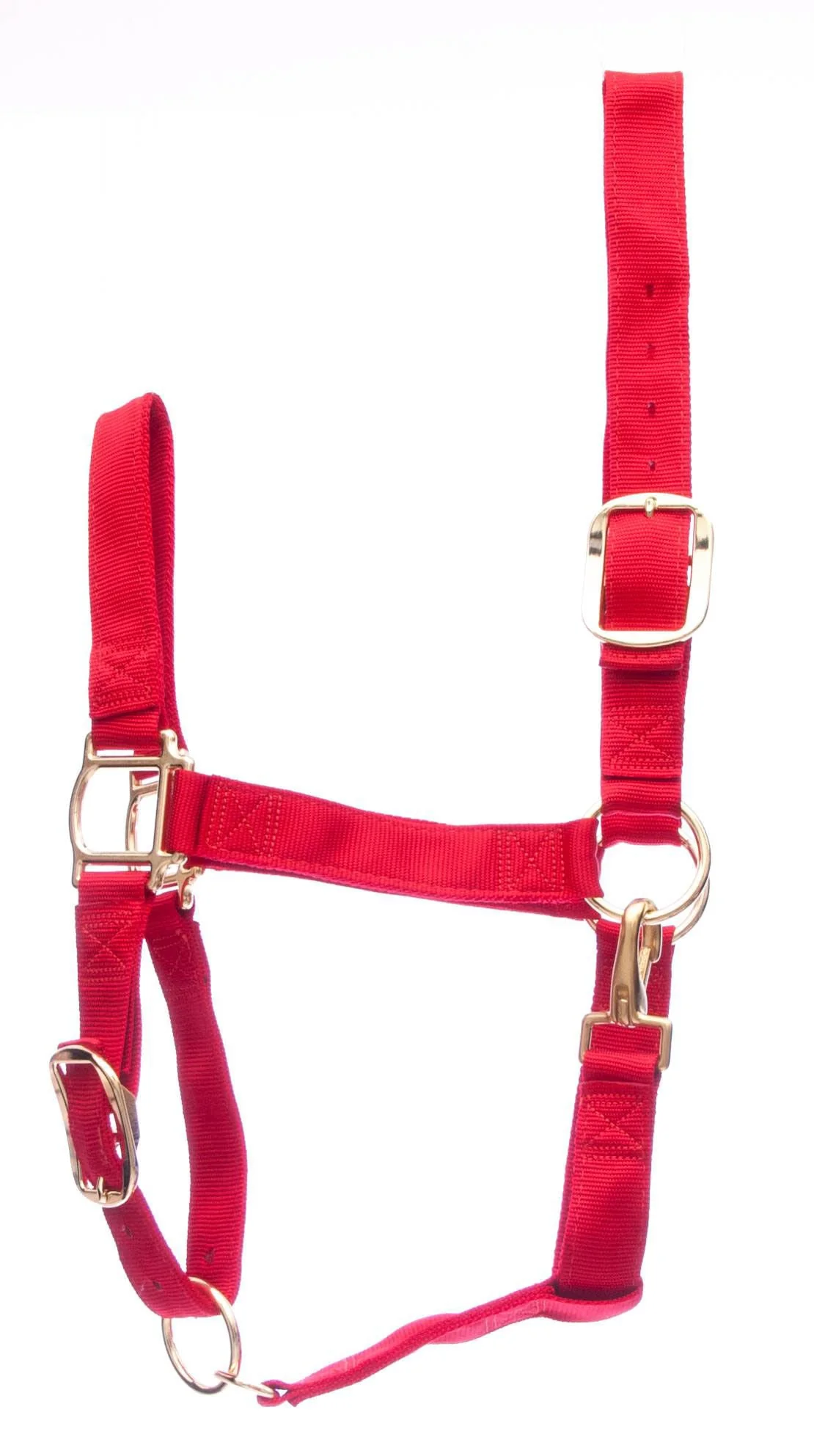 Weaver Draft Horse Halter, Regular (1400 - 1700 lb) - Pet's Shop