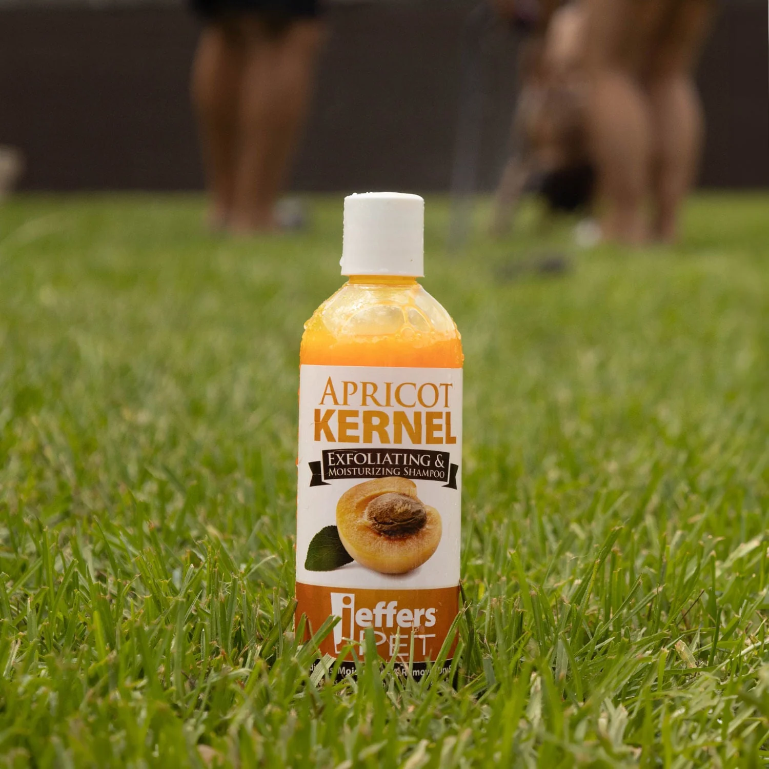 Apricot Kernel Exfoliating & Moisturizing Pet Shampoo - Pet's Shop
