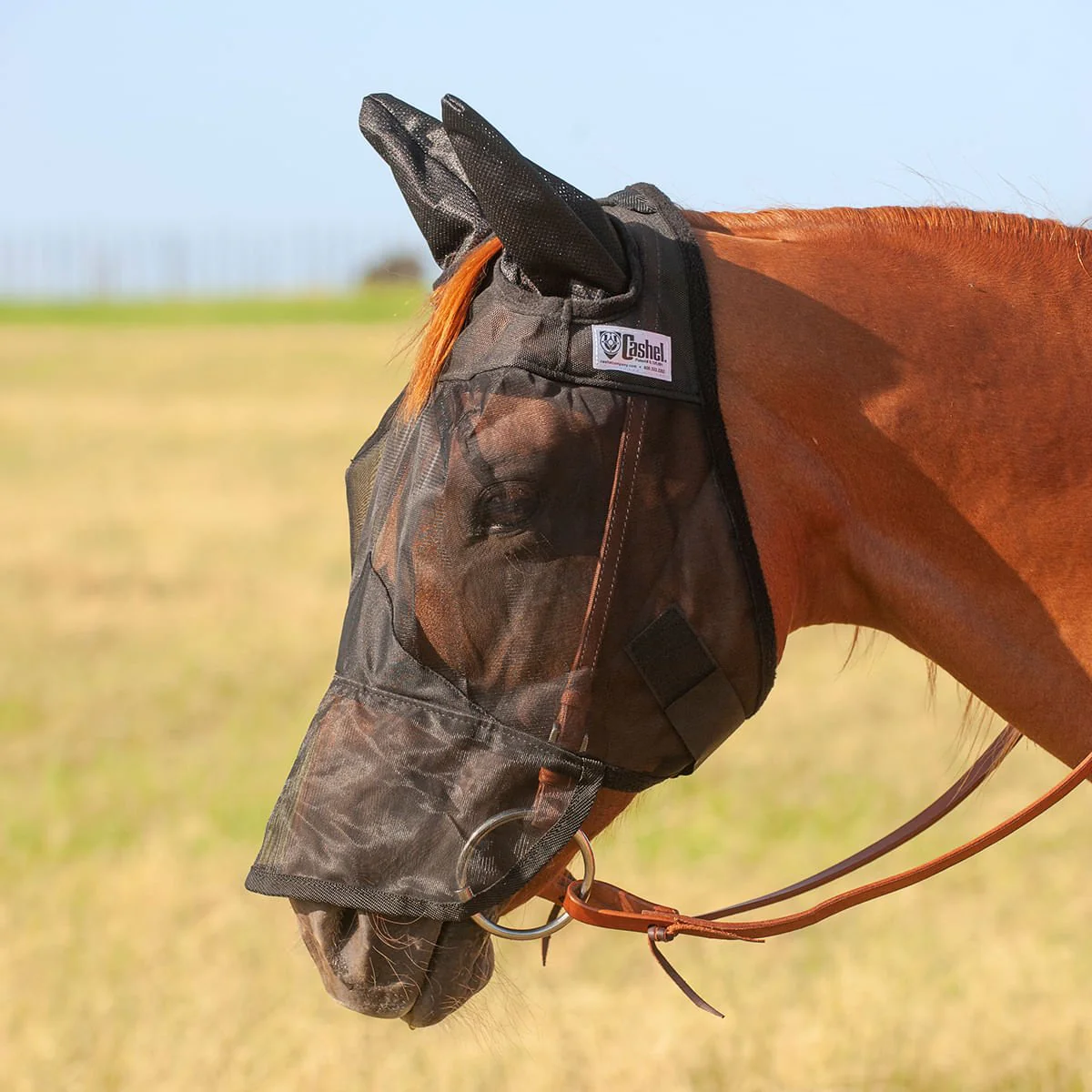 Cashel Quiet Ride Horse Fly Mask with Ears & Long Nose, Black - Pet's Shop