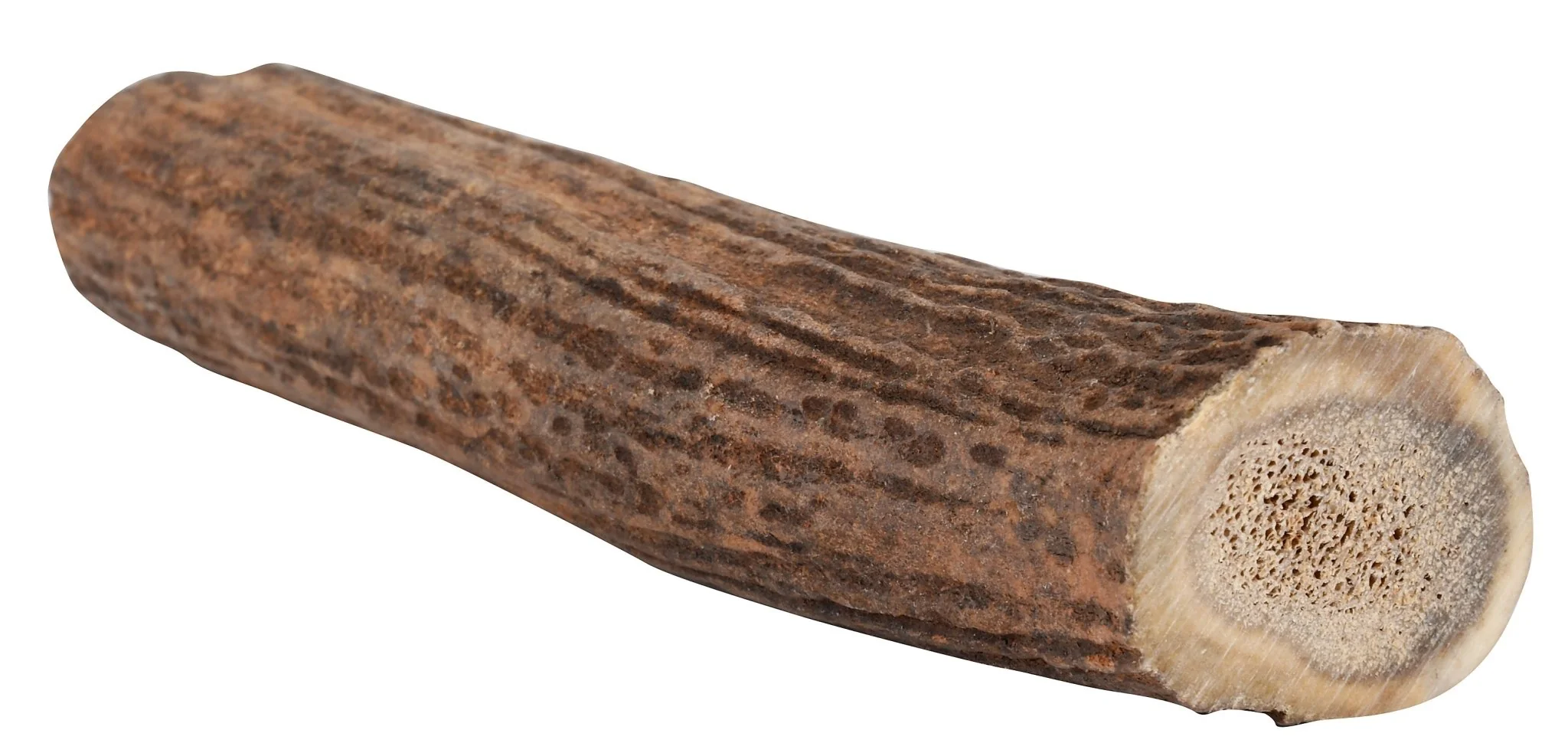 Antlerz - Pet's Shop