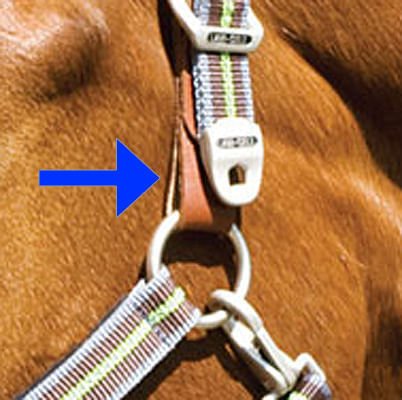 Replacement Tab for Breakaway Halter - Pet's Shop