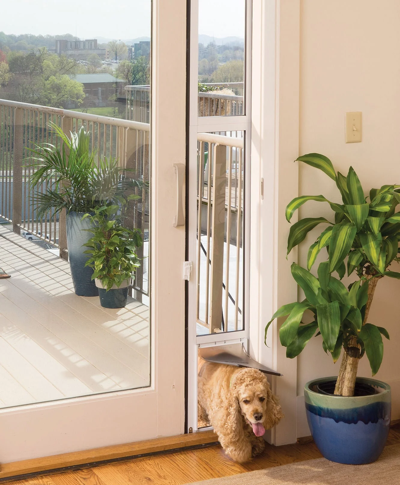 PetSafe Sliding Glass Pet Door - Pet's Shop