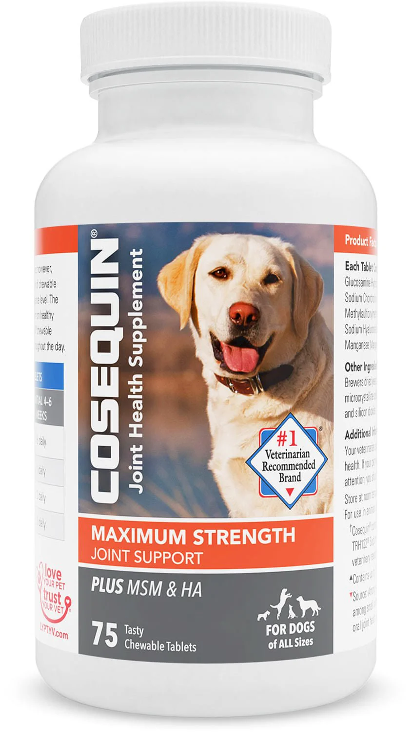 Nutramax Cosequin Maximum Strength Joint Health Plus MSM & Ha Supplement for Dogs - Pet's Shop